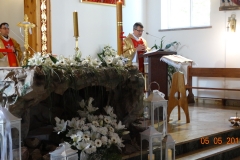 DSC00245