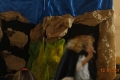 DSC01873