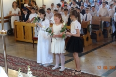 DSC00393