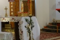 DSC05029