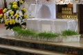 DSC05030