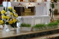 DSC05041