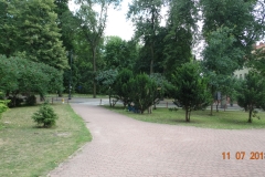 DSC00834